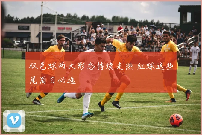 双色球两大形态持续走热 红球这些尾周日必选