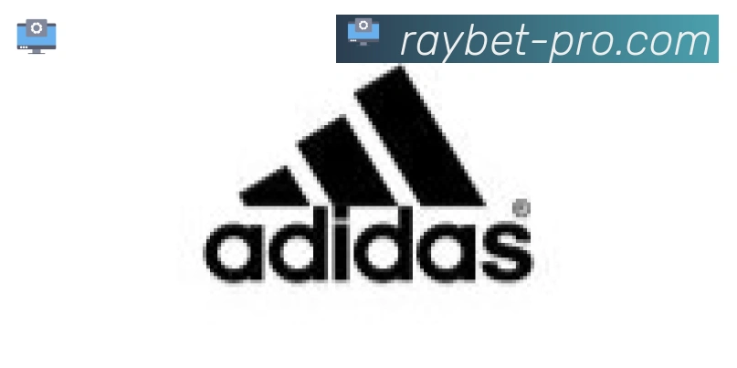 RAYBET雷电竞合作伙伴